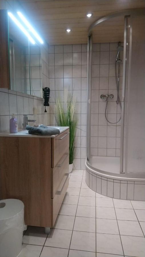 Kastanienblick Apartment Санкт Андреасберг Екстериор снимка