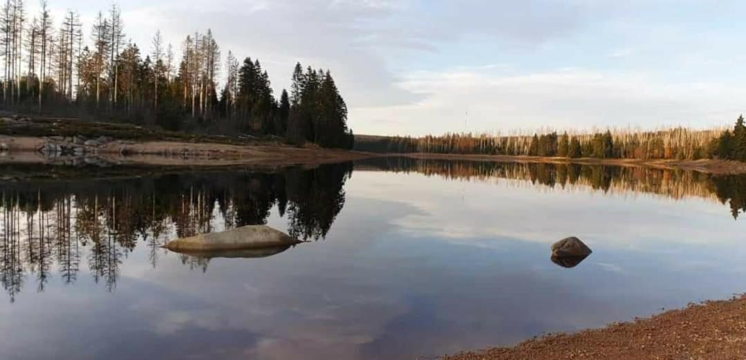 Kastanienblick Apartment Санкт Андреасберг Екстериор снимка